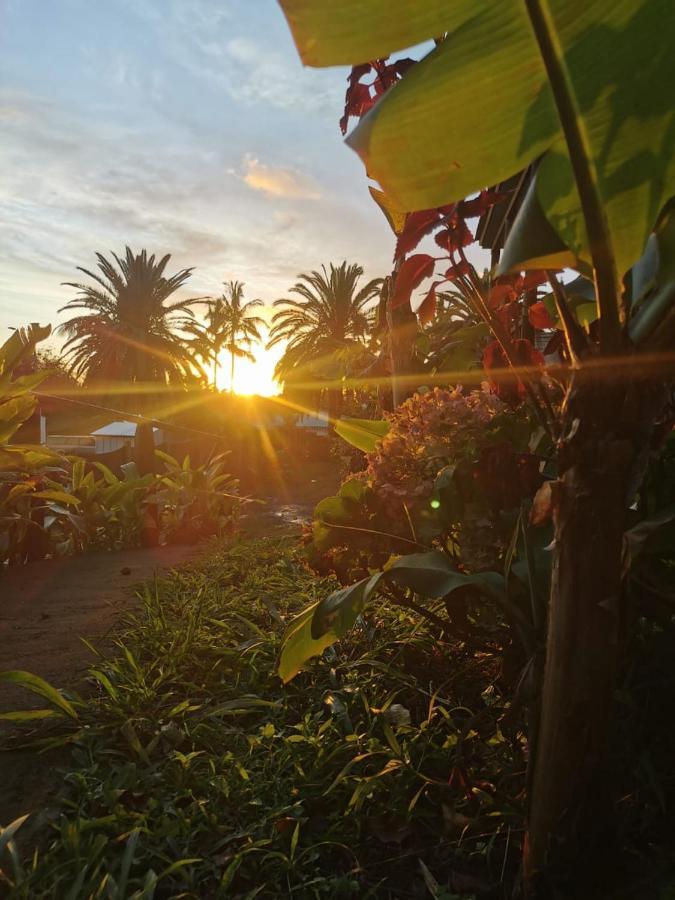 Hostal Tu'U Koihu อังกาโรอา ภายนอก รูปภาพ