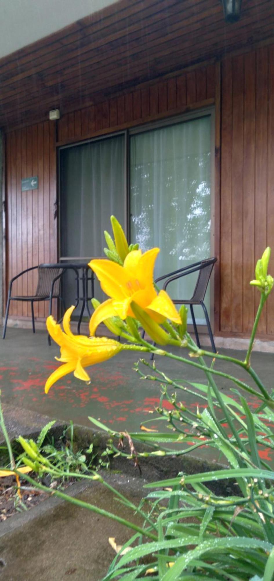 Hostal Tu'U Koihu อังกาโรอา ภายนอก รูปภาพ