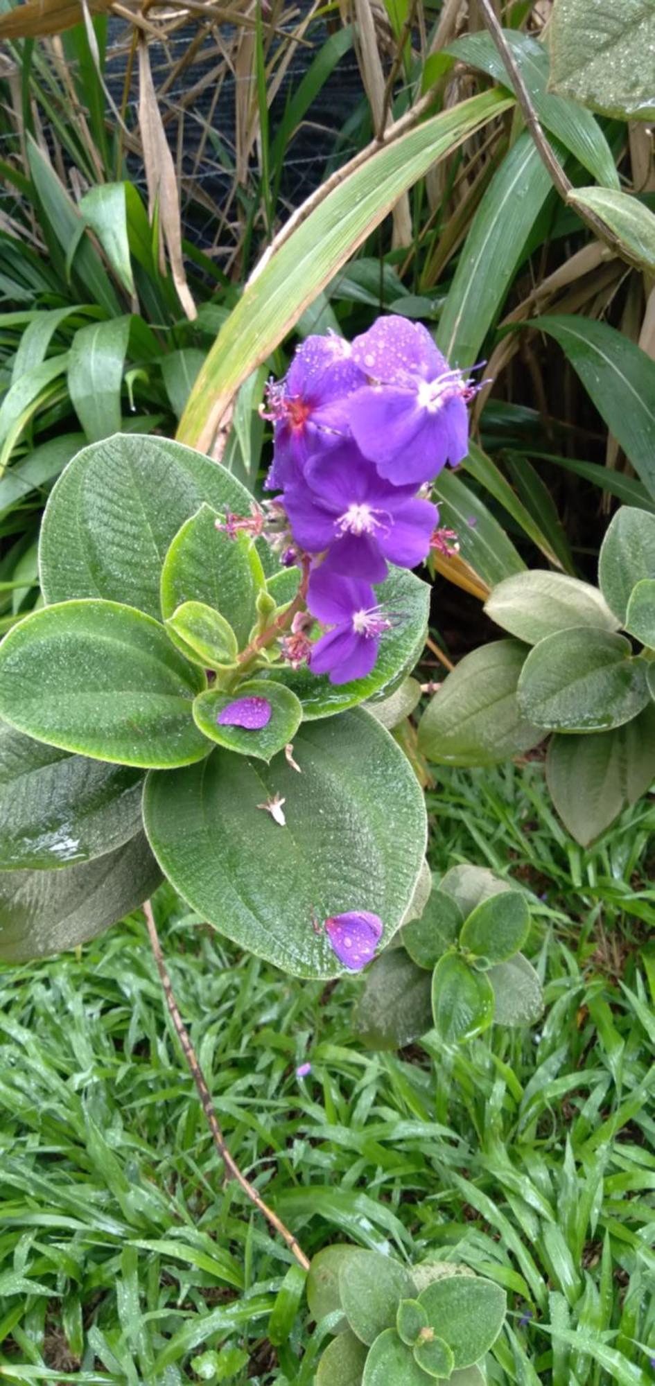 Hostal Tu'U Koihu อังกาโรอา ภายนอก รูปภาพ