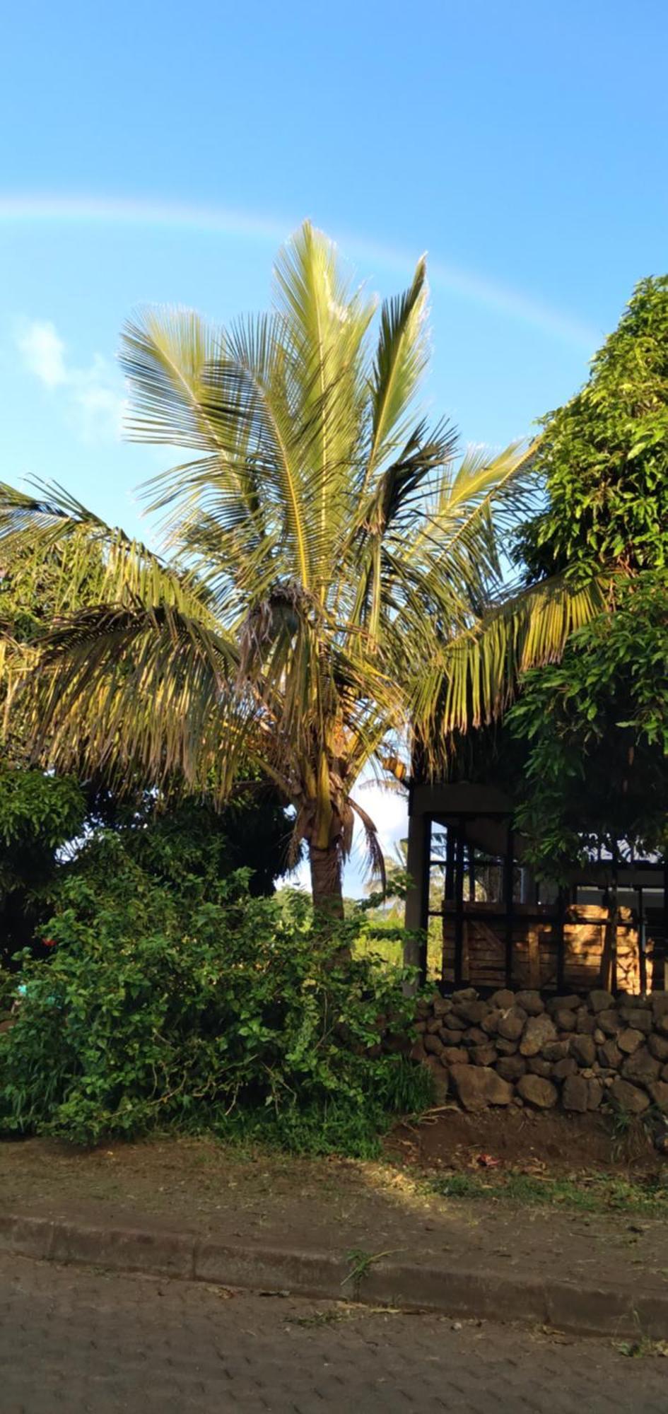 Hostal Tu'U Koihu อังกาโรอา ภายนอก รูปภาพ