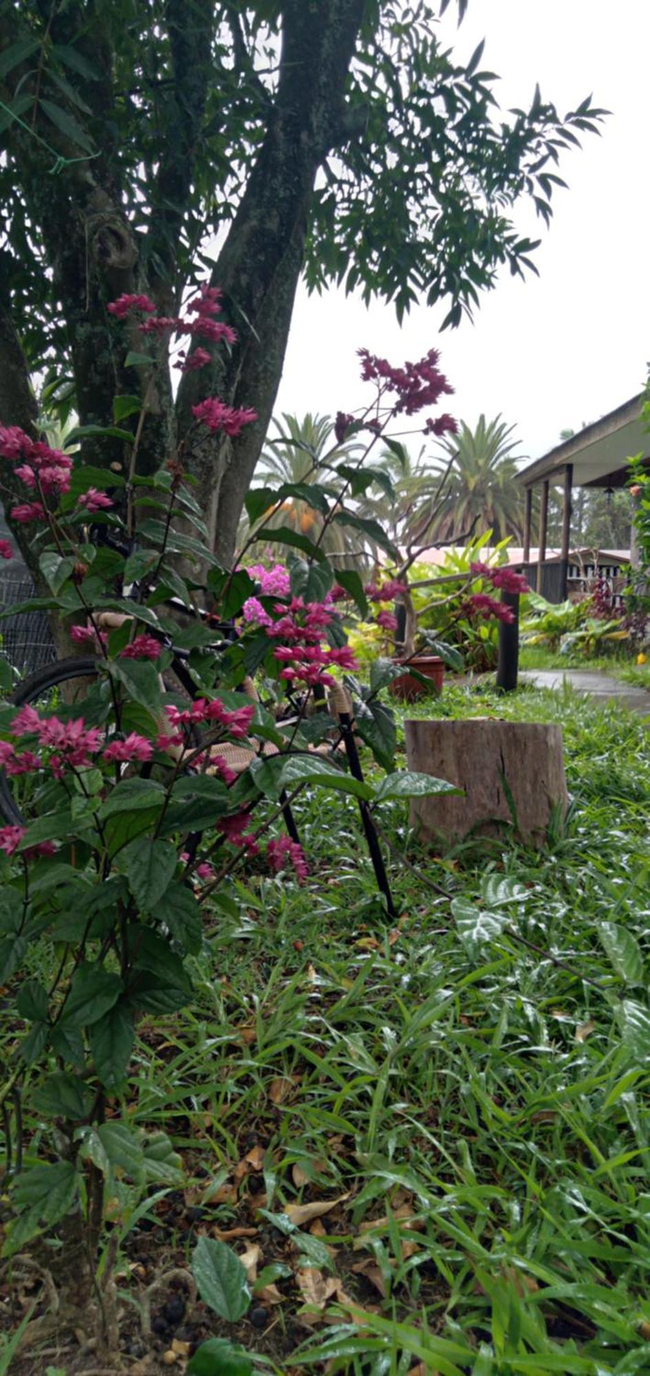 Hostal Tu'U Koihu อังกาโรอา ภายนอก รูปภาพ