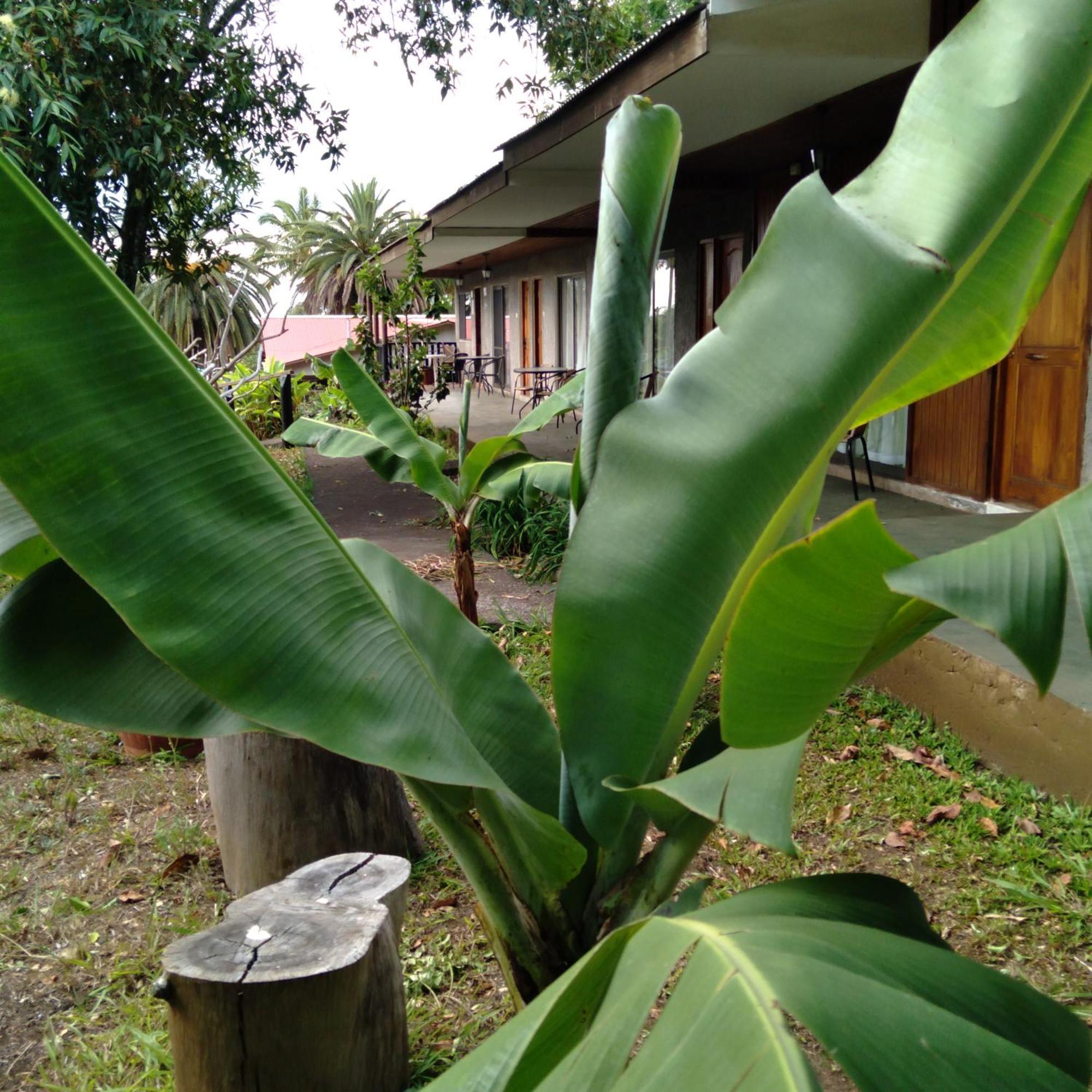Hostal Tu'U Koihu อังกาโรอา ภายนอก รูปภาพ