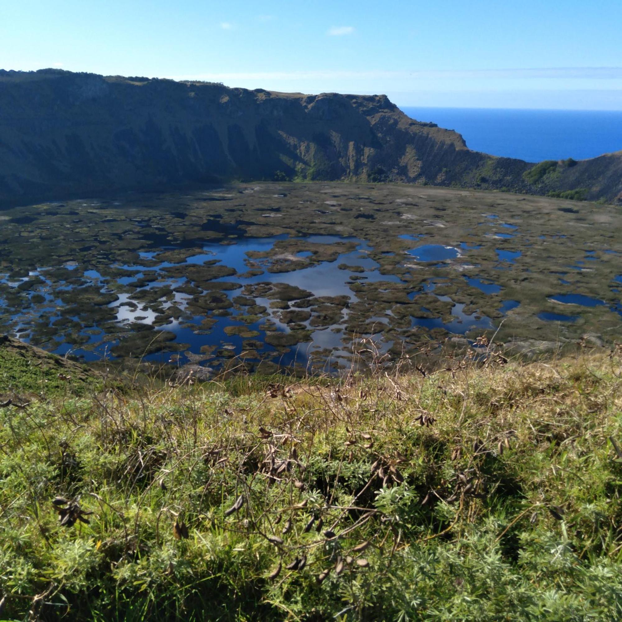 Hostal Tu'U Koihu อังกาโรอา ภายนอก รูปภาพ