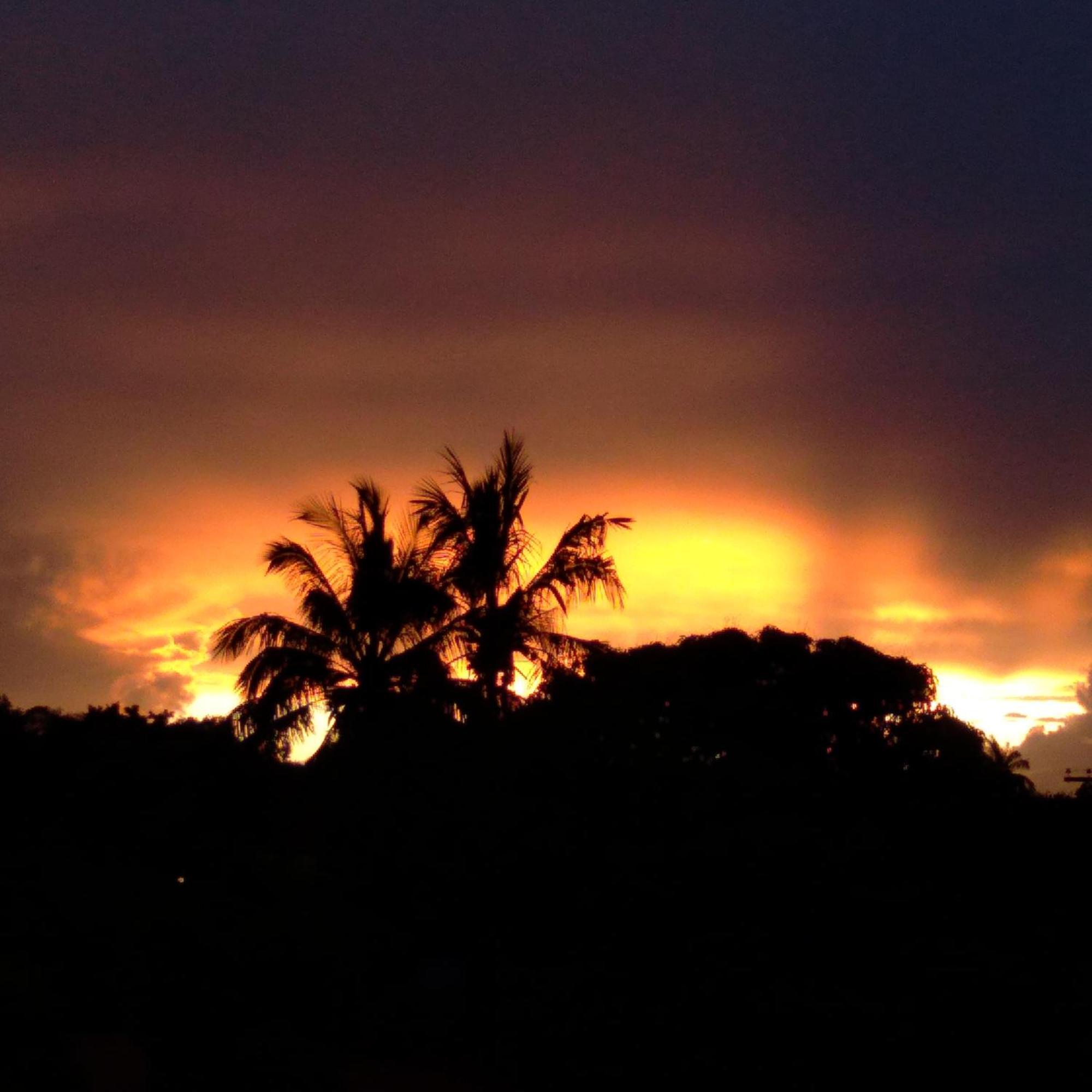 Hostal Tu'U Koihu อังกาโรอา ภายนอก รูปภาพ