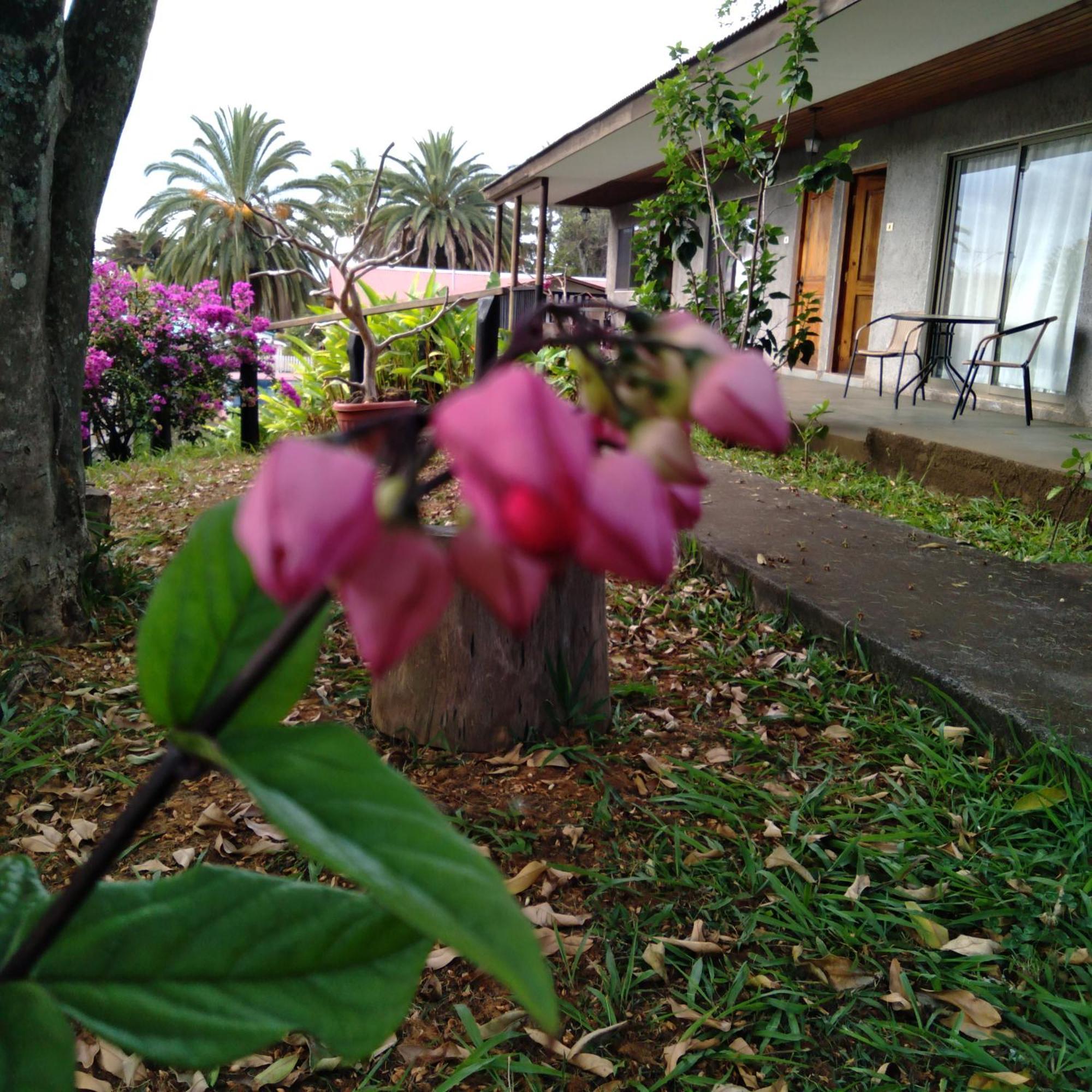 Hostal Tu'U Koihu อังกาโรอา ภายนอก รูปภาพ